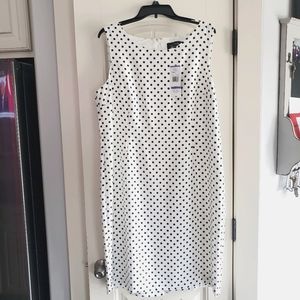 NWT Womens polka dot dress